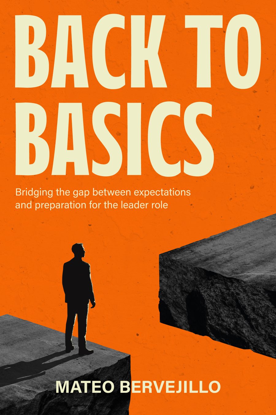 Back To Basics book cover by Mateo Bervejillo